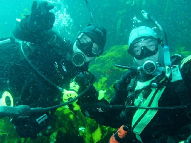 expediciones  de buceo